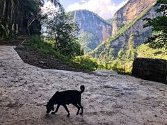 -鹿院坪生态旅游景区