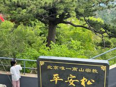 -圣莲山风景区