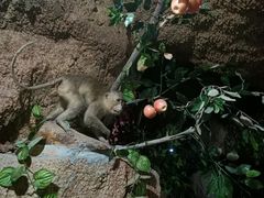 -游龙石文化科普馆