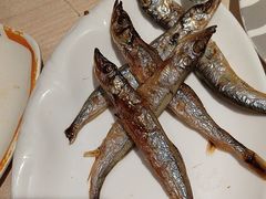 -新一番三文鱼寿司(大东海店)