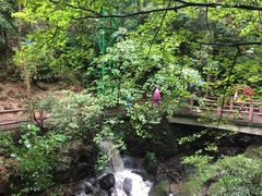 -藏龙百瀑风景区