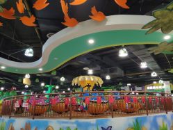 -维佳童话镇演出现场(徐东店)