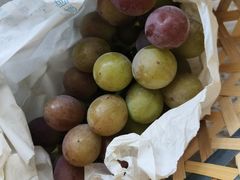 -马陆小张葡萄园农家乐