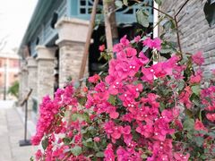 -赤坎·广东华侨国际旅游度假区