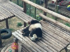 -大连森林动物园