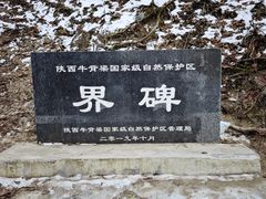 -牛背梁国家森林公园