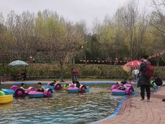 -西部长青自然儿童乐园