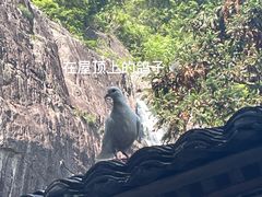 -龙瀑仙洞