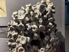 -辽宁古生物博物馆