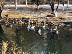-长白岛森林公园