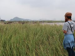 -北岐滩涂