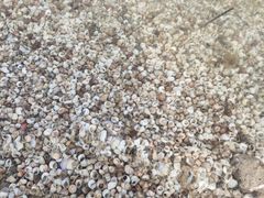 -天津东丽湖风景区