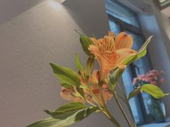 -幸薈飯堂