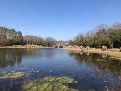 -长广溪湿地公园