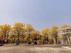 -松山湖南湖湾露营营地
