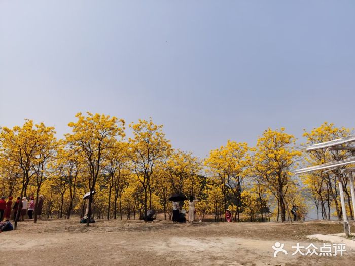 松山湖南湖湾露营营地图片
