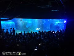 -江和美海洋公园
