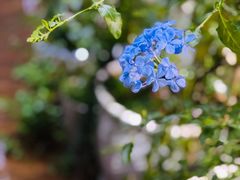 -下面馆