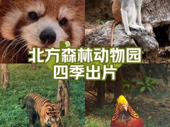-哈尔滨北方森林动物园