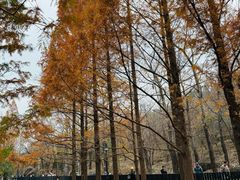 -白水寺森林公园
