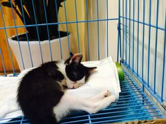 -猫的天空之城概念书店(杭州南宋御街店)