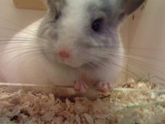 -龙猫仔乐园(惠福东路店)