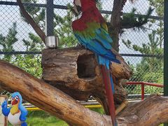 -西霞口神雕山野生动物世界