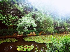 -白马涧龙池景区
