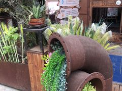 -胡桃里音乐酒馆(石家庄店)