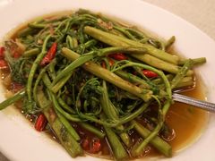 蒜头炒含羞草-建兴酒家(素里翁分店)