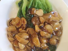 -新侨小馆(东直门北小街店)