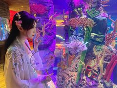 -沈阳海洋探索中心