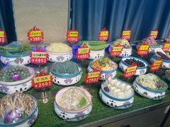 -韩记海鲜饺子旗舰店(红海新区店)