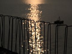 -浙江西子宾馆·瑶园咖啡厅