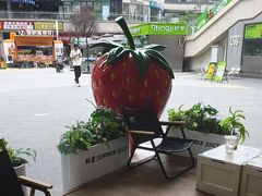 -树夏(金楠天街店)