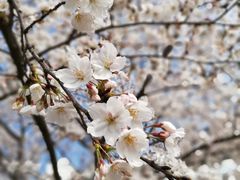 -中医药大学-第2食堂