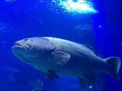 -多彩贵州城极地海洋世界