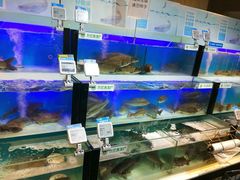 -盒马鲜生(杭州运河上街店)
