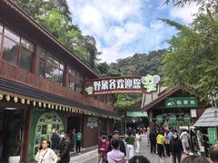 -野象谷景区