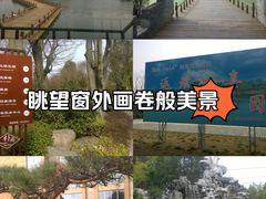 -朴园