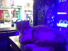 -星宿秘码(鼓浪屿老店)