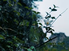 -龙庆峡风景区