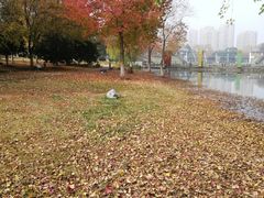 -白塘生态植物园