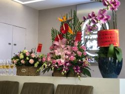 -海豚湾高端月子会所(黄浦店)