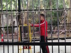 -广东茂名森林公园