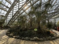-南山植物园