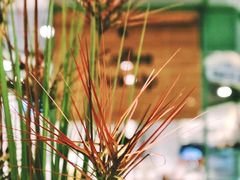 大堂-LUNEURS月乐诗 冰淇淋咖啡(环贸店)