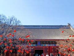 -香山公园