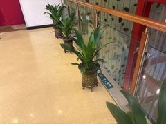 -南美元生态大酒店(海珠店)