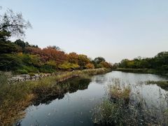 -国家植物园南园